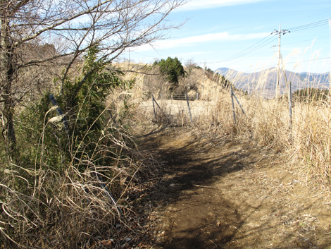 20160108hike (92)